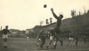 MALANDRINI
