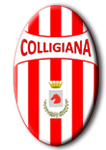 logo colligiana main