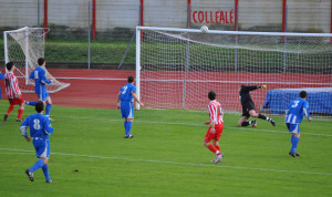 008 traversa