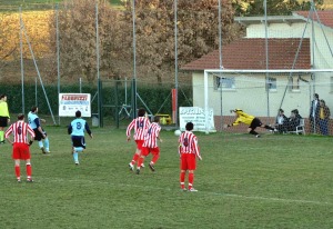 009 DCOLLIGIANA SARTEANO S RIGORES