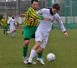 009 E COLLIGIANA S ALBINO 3
