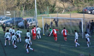009 M MERONI COLLIGIANA 2