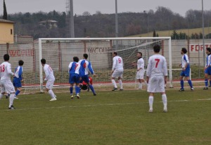 009 N COLLIGIANA Berardenga 3