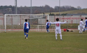 009 N COLLIGIANA Berardenga 5