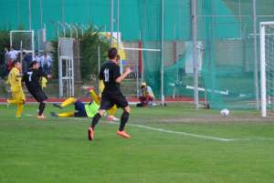 1 gol palavisini