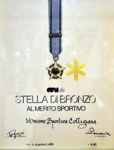 1993 Stella Bronzo CONI