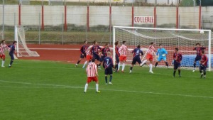 -2011-11-06-COLLIGIANA-SINALUNGHESE-DIFESA