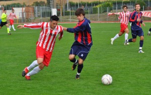 -2011-11-06-COLLIGIANA-SINALUNGHESE-RIZZO