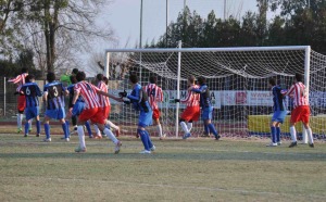 -2012-02-08-Pisa-Colligiana-7