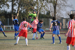 -2012-02-08-Pisa-Colligiana-8