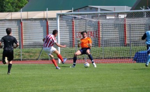 9 Q COLLIGIANA SARTEANO 3