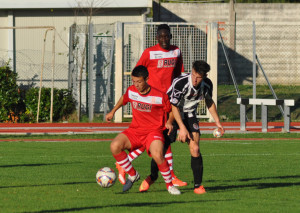 22/11/2015 Colligiana - Massese 2 - 0