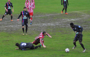 6/3/2016 Colligiana Gavorrano 2 - 2