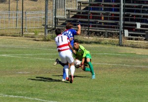 DSC_3352 (21)