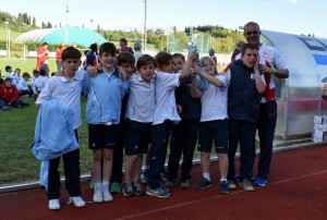 entella 7