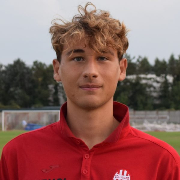 Focardi Olmi Gabriele